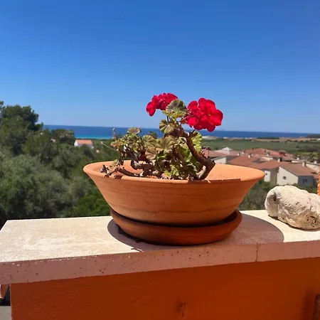 Apartmán El Mirador *